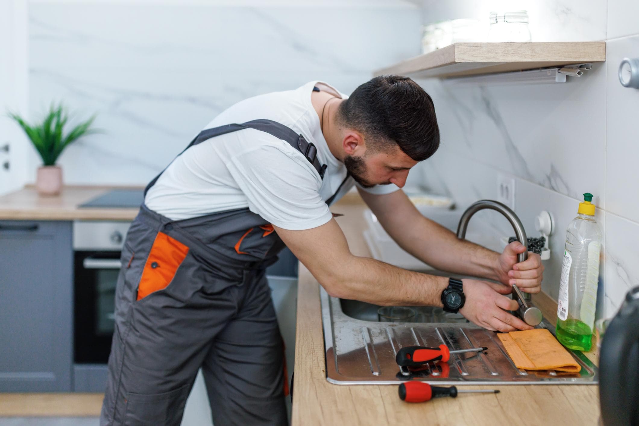Professional Plumber